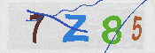 CAPTCHA Image